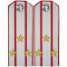 Интендантская служба ВМФ СССР. Старший офицерский состав, погоны обр. 1943 г.